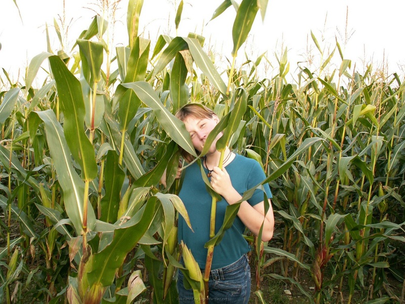 Девушка дрочит киску в кукурузном поле 1 фото