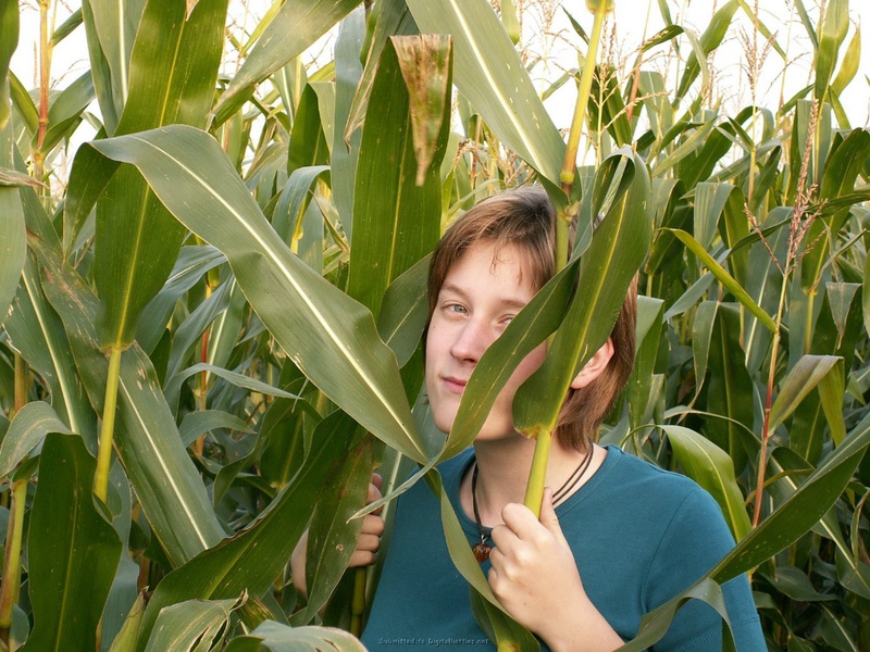Девушка дрочит киску в кукурузном поле 2 фото
